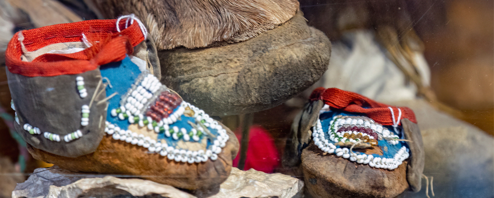 Protect Cherry Hill Nature